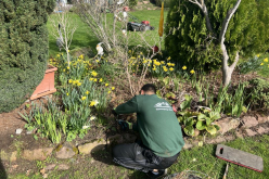 Gartenarbeiten in Oftersheim oder Heidelberg
